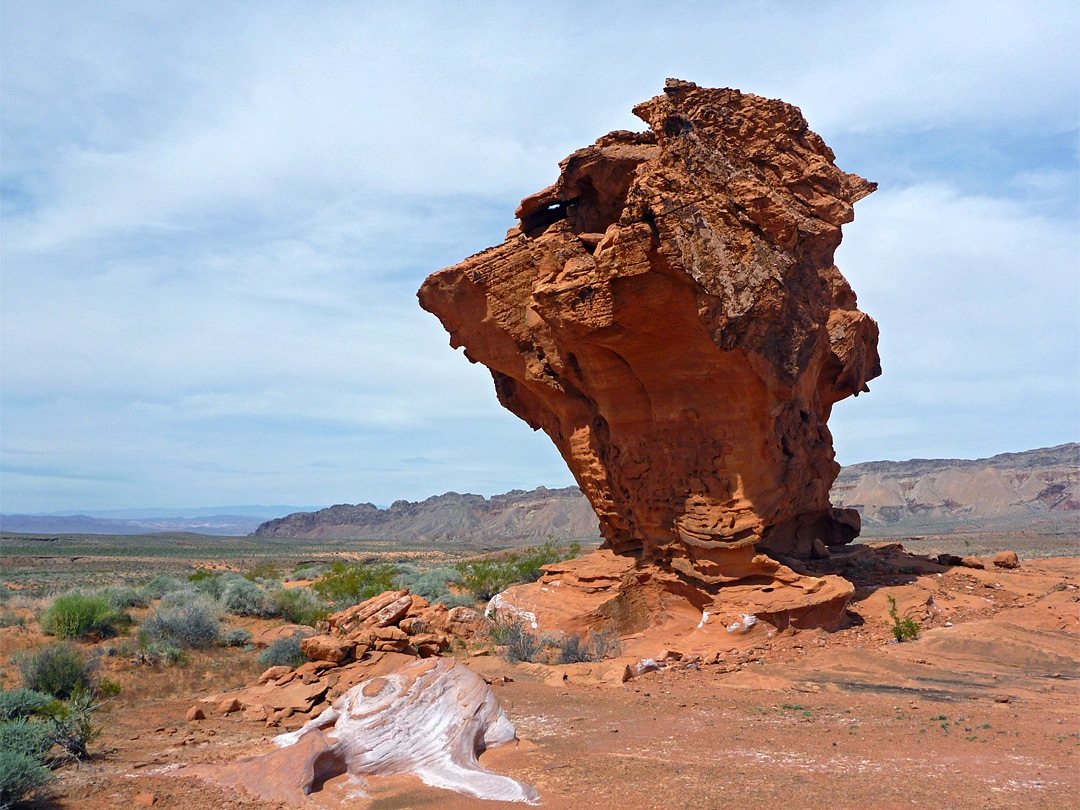 Head-shaped rock