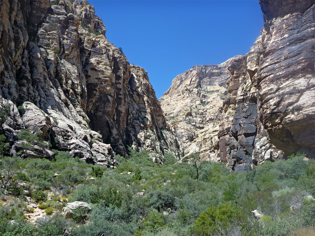 Mouth of Icebox Canyon