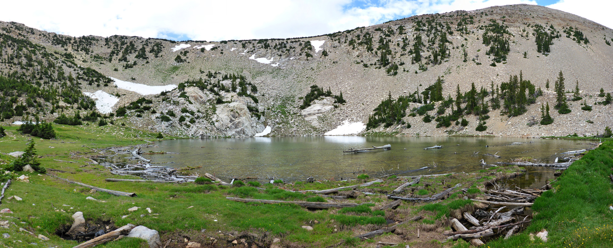 Shoreline of Johnson Lake