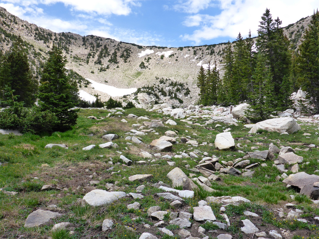 Boulders and trees