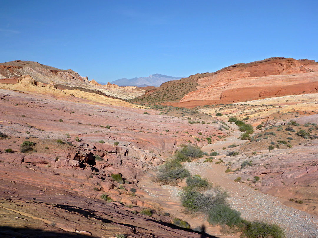 Multicolored rocks