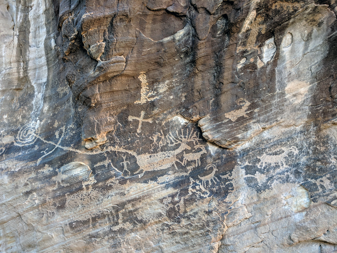 Varied petroglyph panel