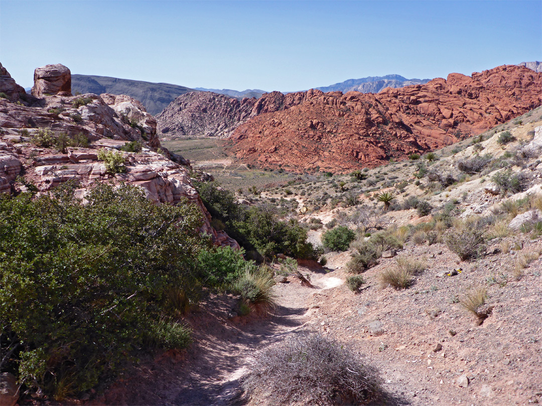 Calico Basin