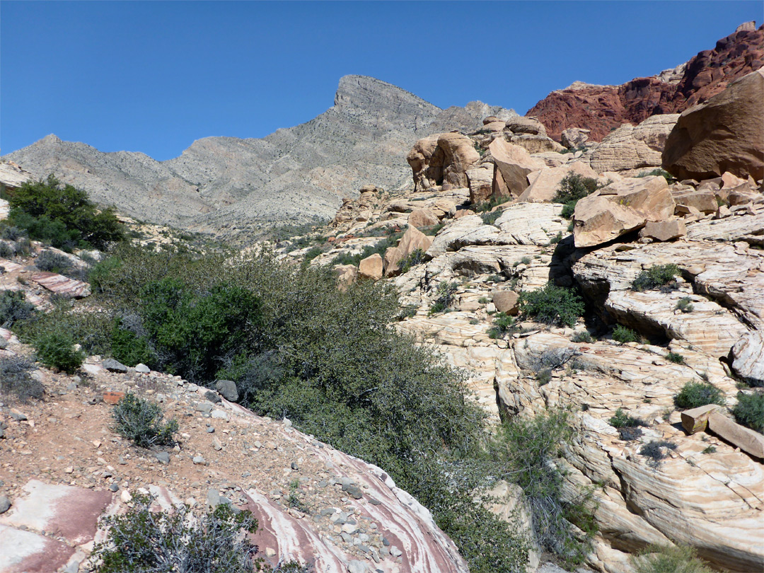 Turtlehead Peak