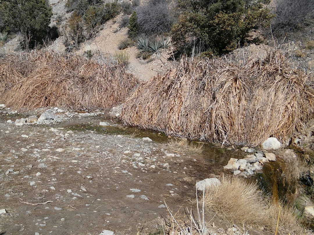 Site of La Madre Dam