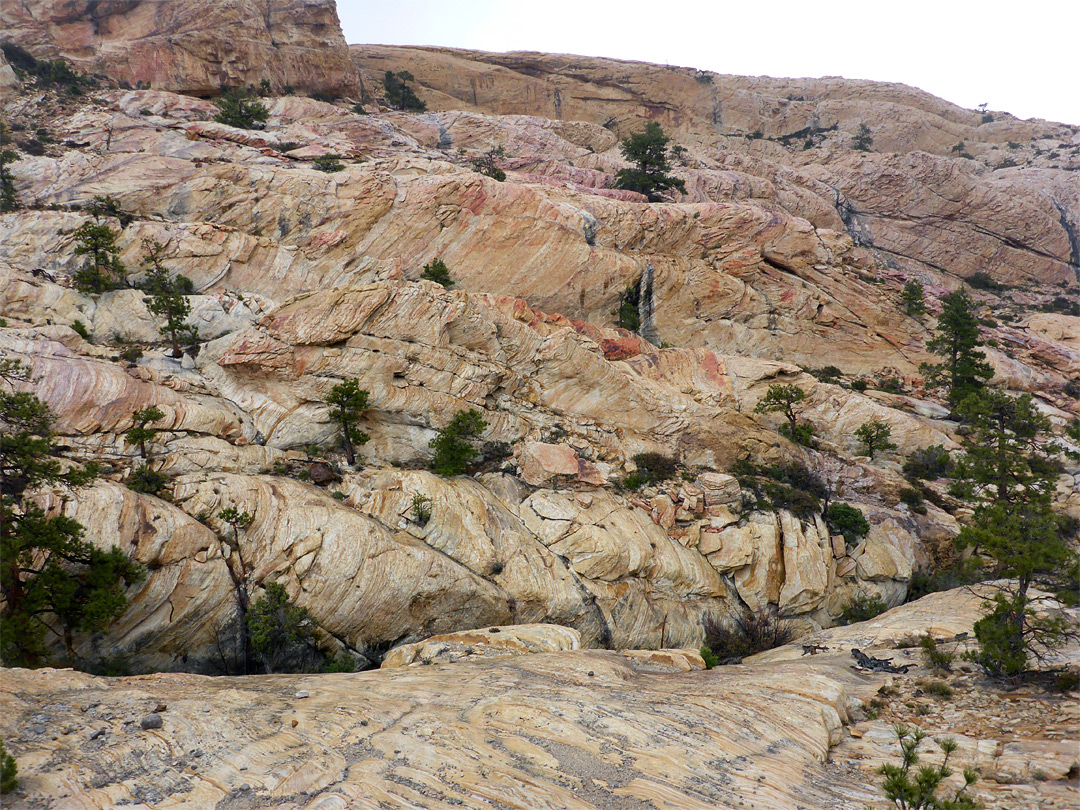 Slope of thin-layered sandstone