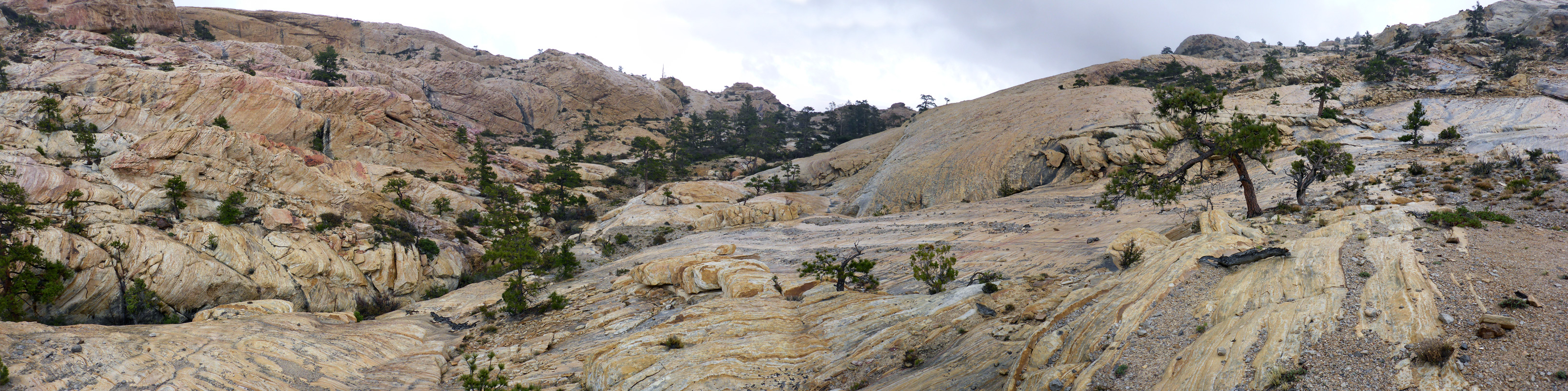 Sandstone of Little Zion