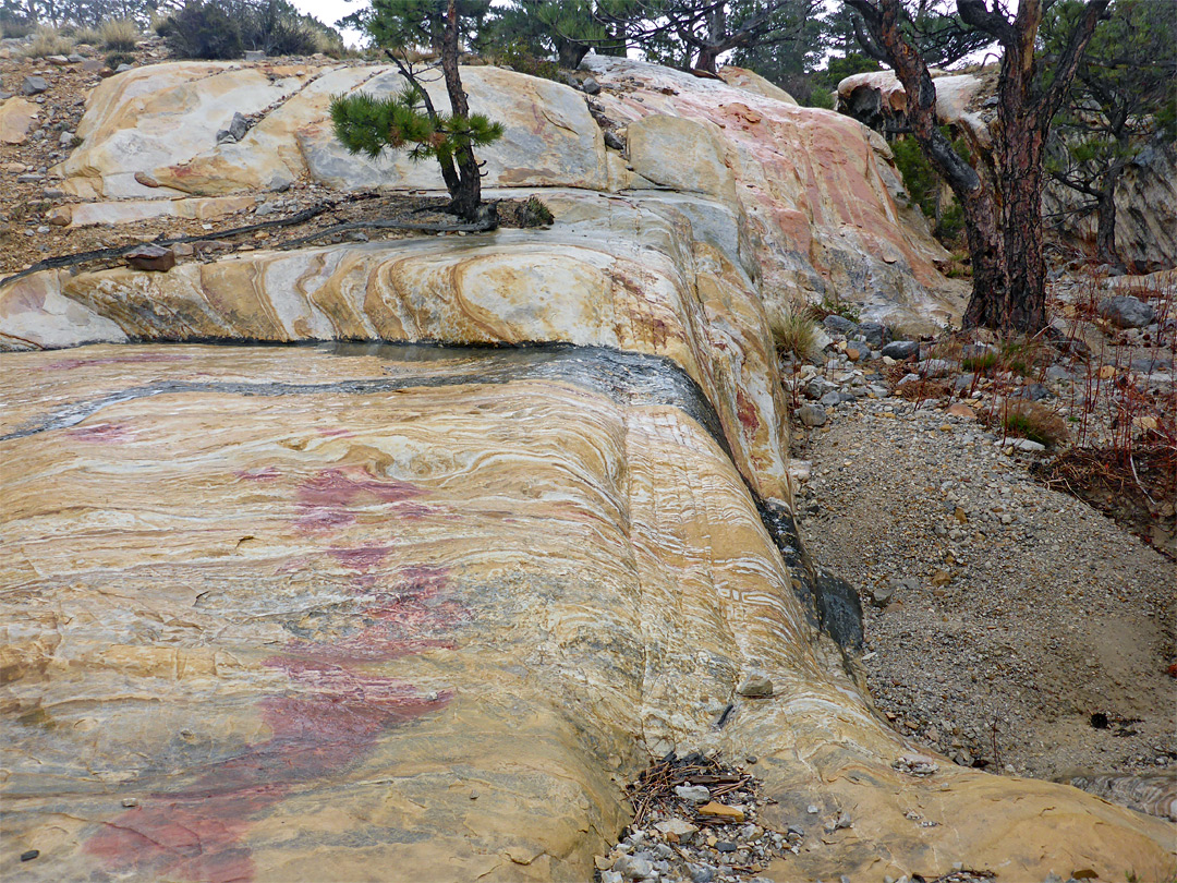 Red and yellow sandstone