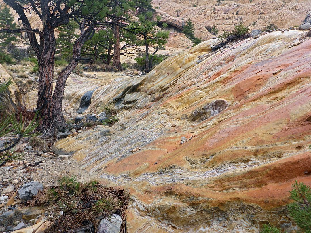 Orange-red sandstone