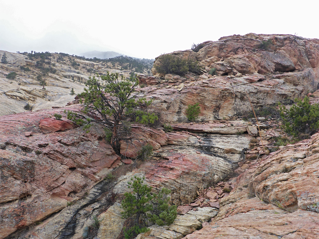 Reddish rocks