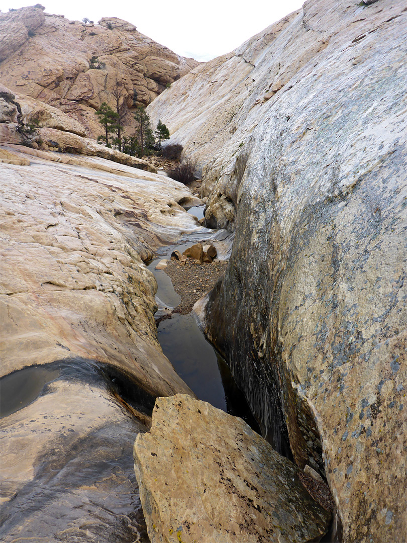 Rainwater pools