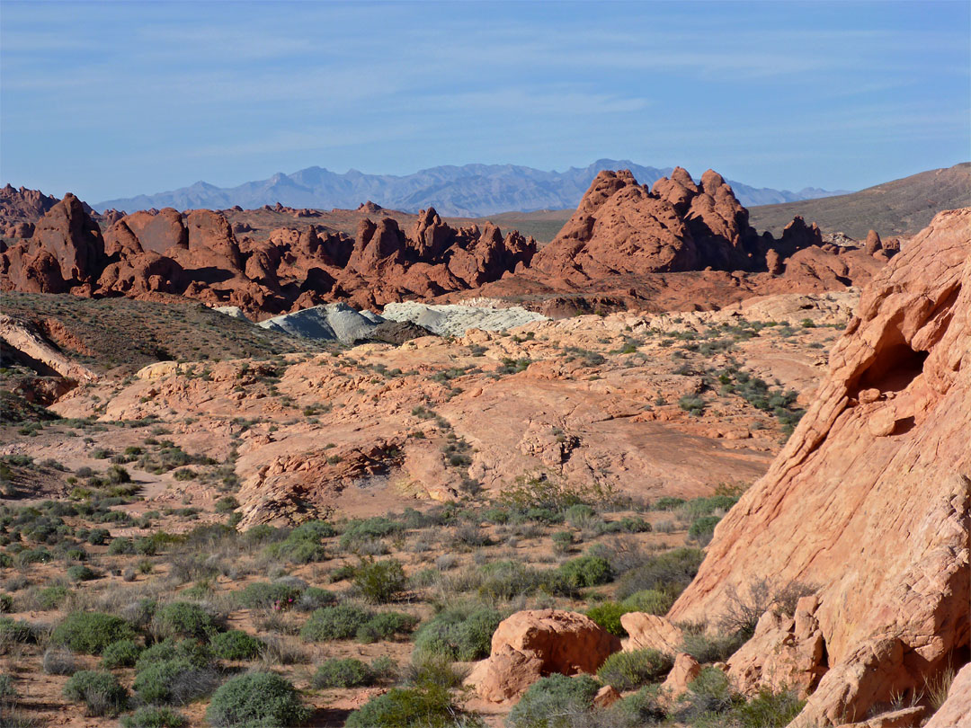 Desert and rocks