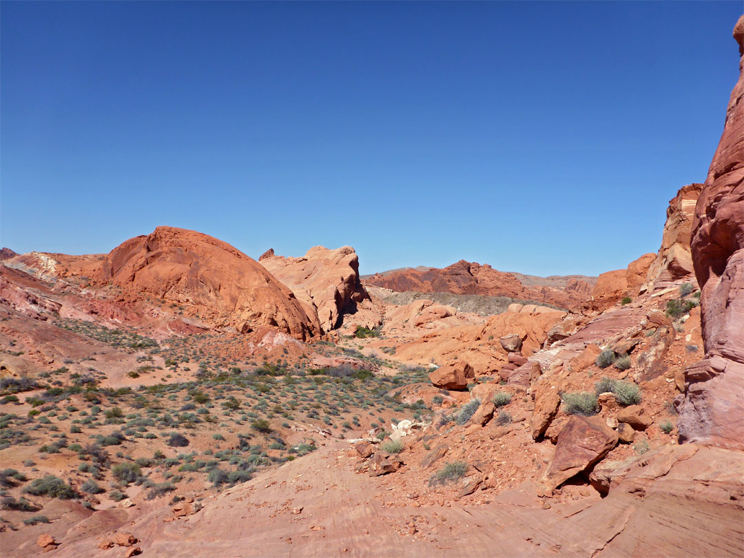 Downstream of Duck Rock