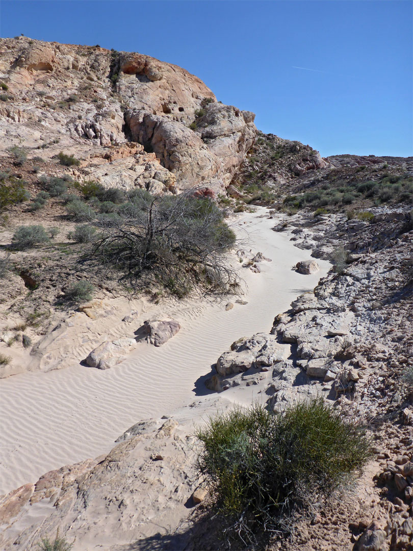 Sandy streambed