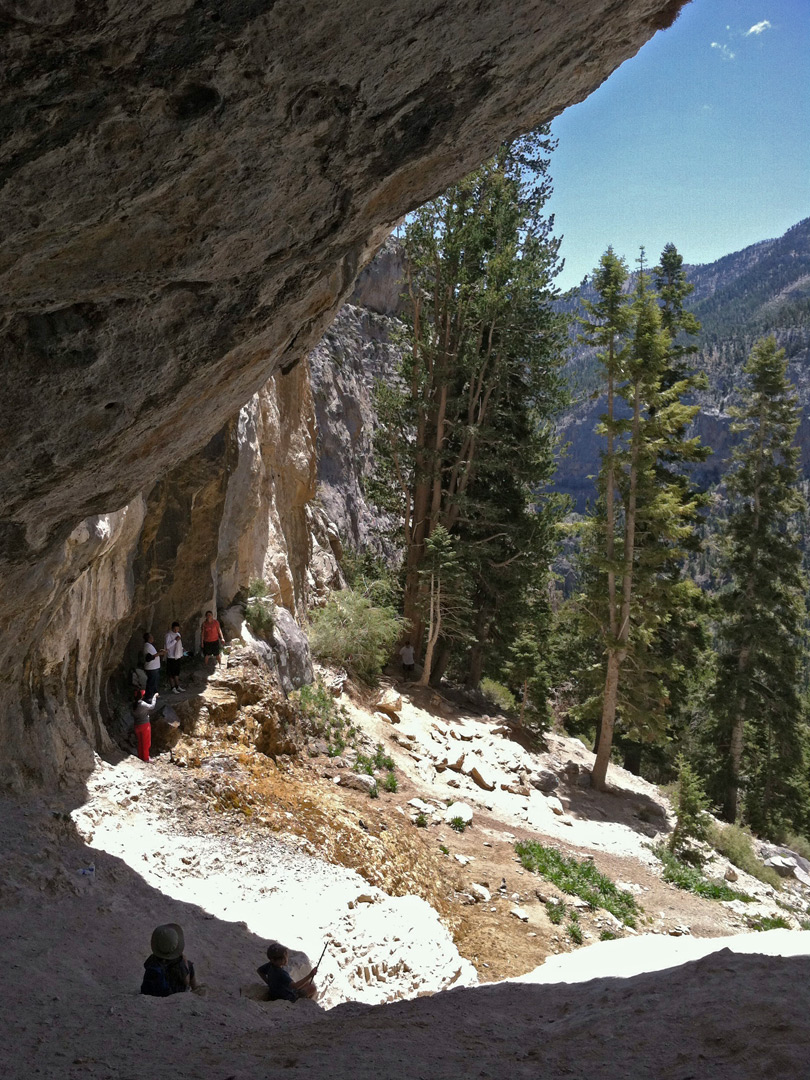 Shady alcove