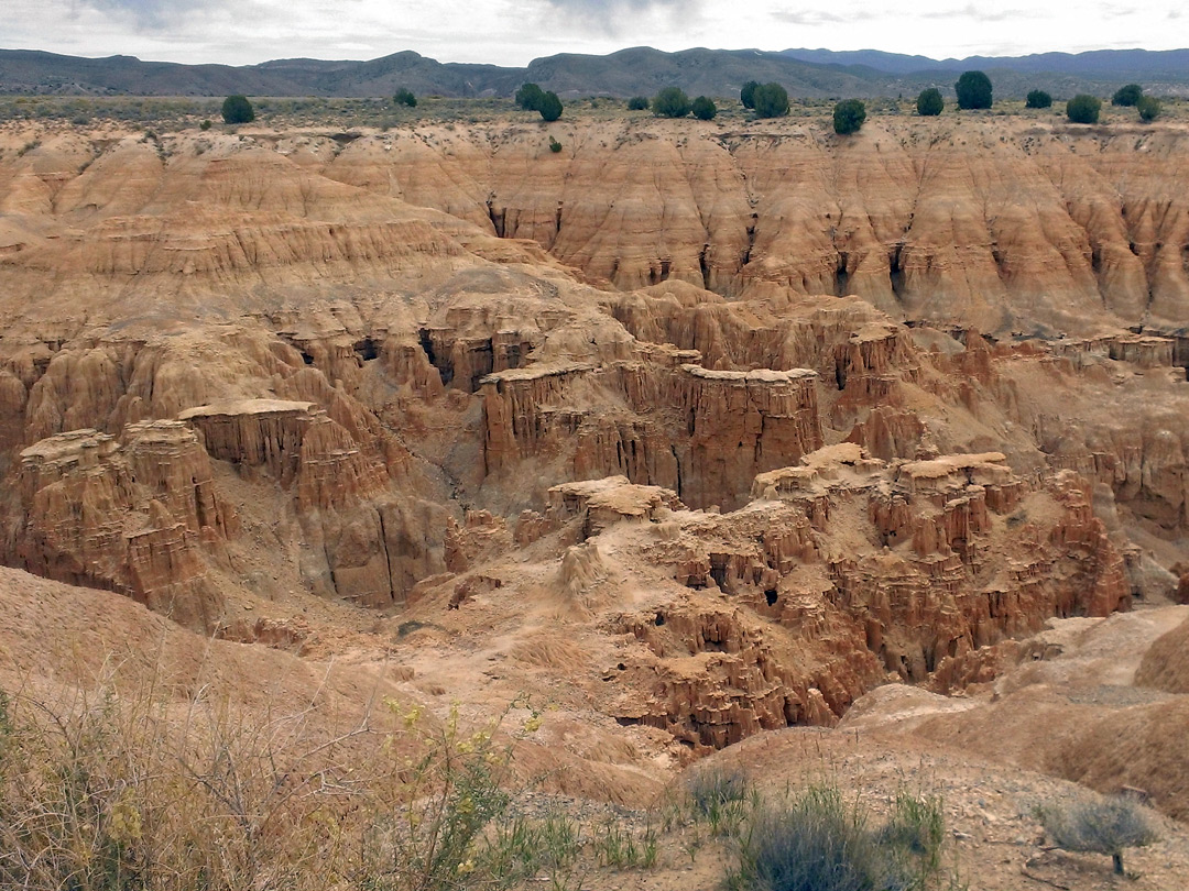 The canyon rim