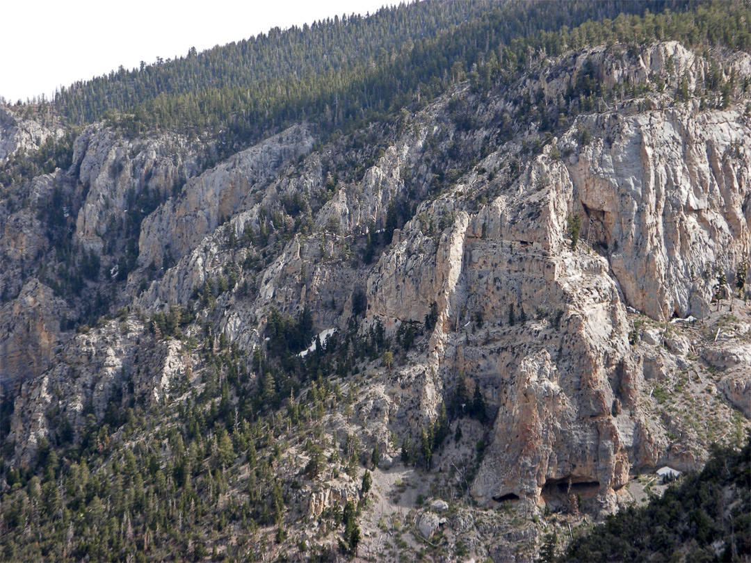 Exposed rock face