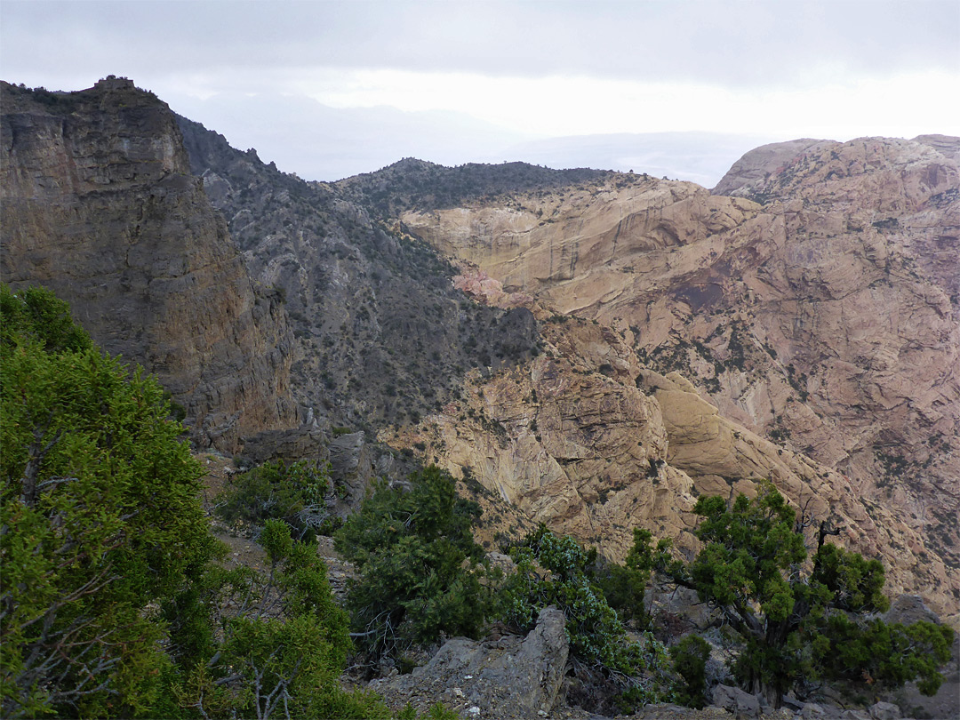 Sandstone cliffs