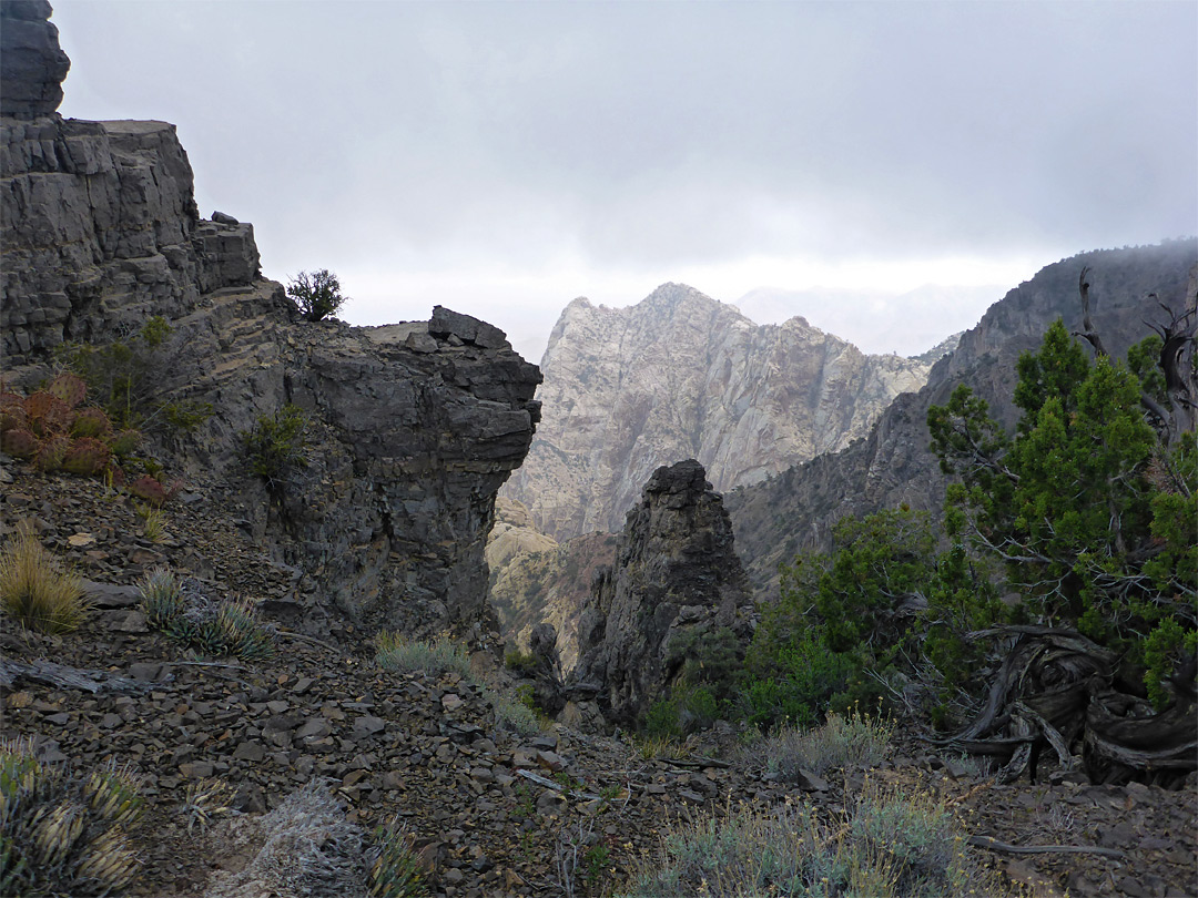 Jagged limestone