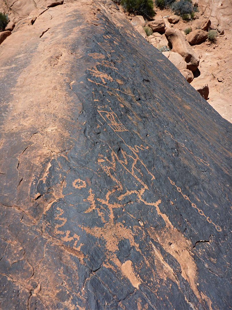 Petroglyphs on a ridge