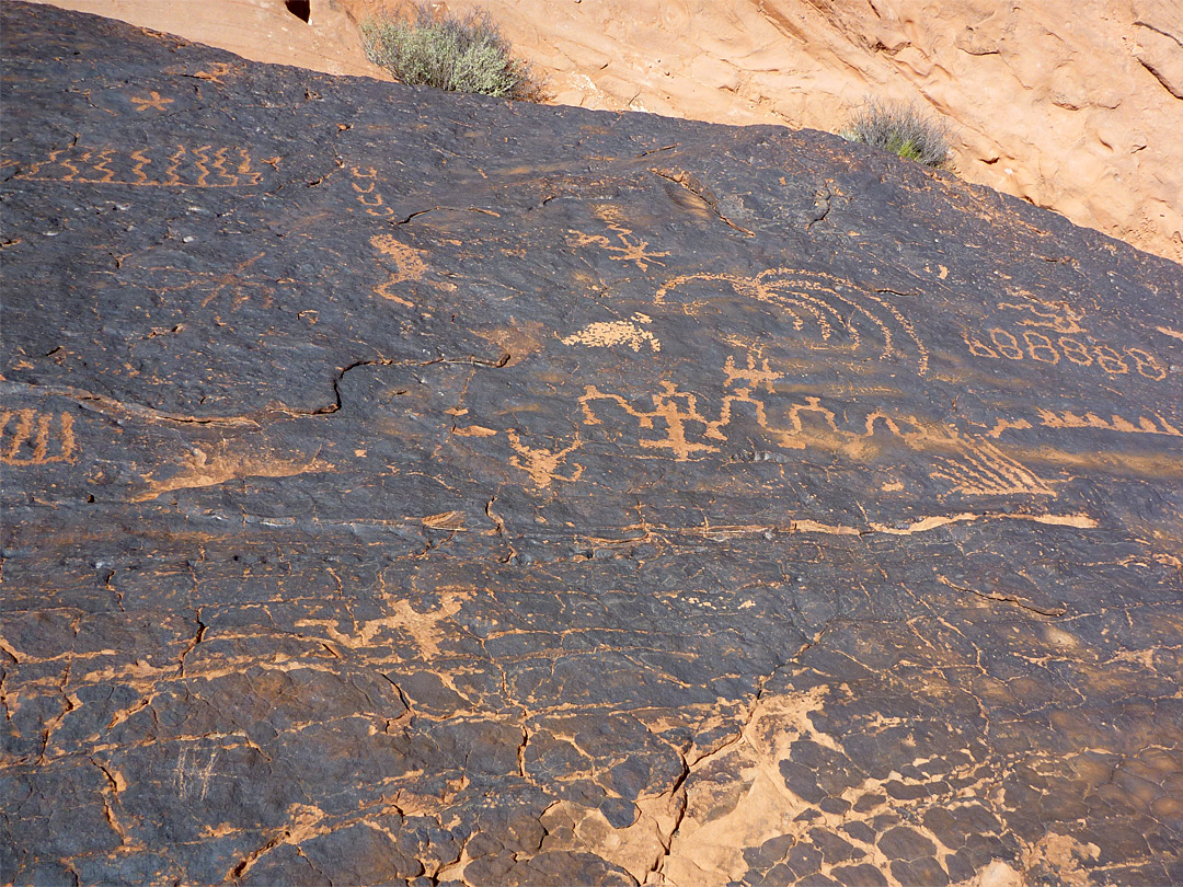 Petroglyphs on a dark rock