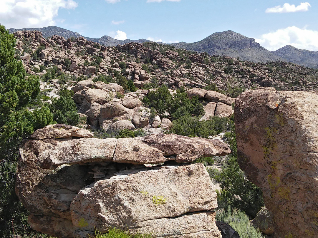 Granite rhyolite: Mount Irish Petroglyphs, Basin and Range National ...