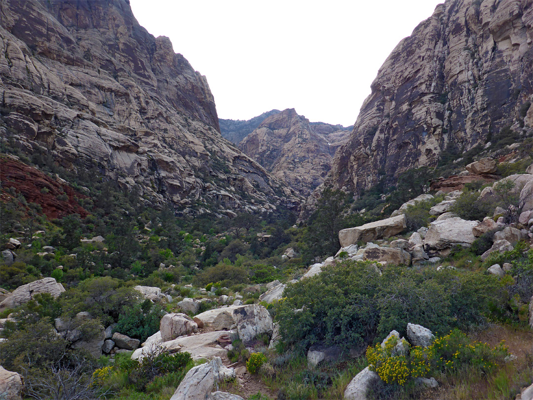 Bushes and boulders