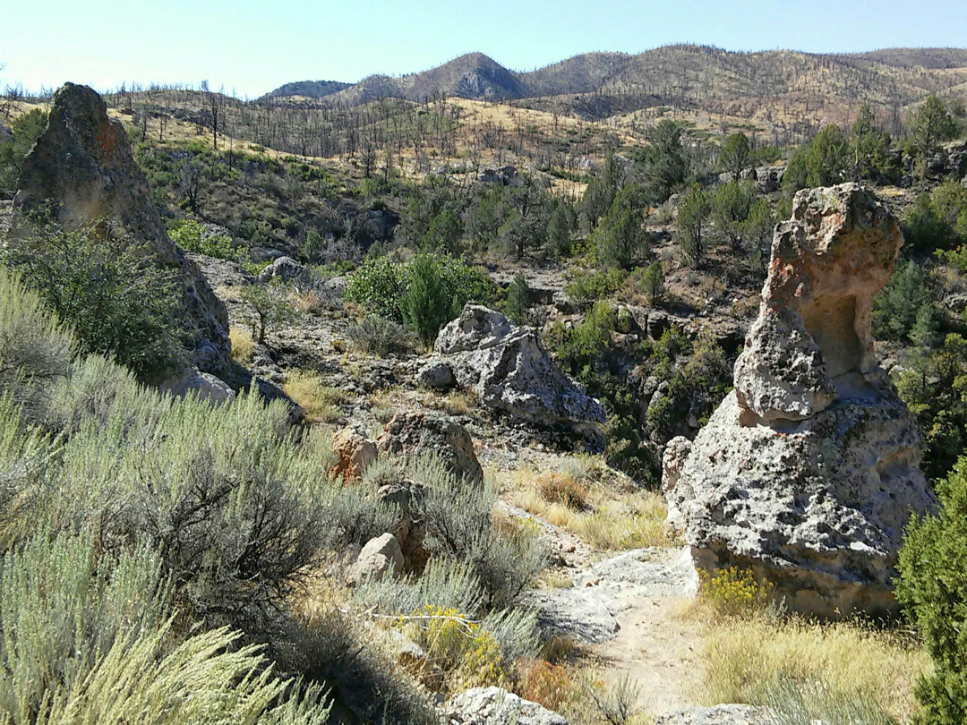 Hoodoos