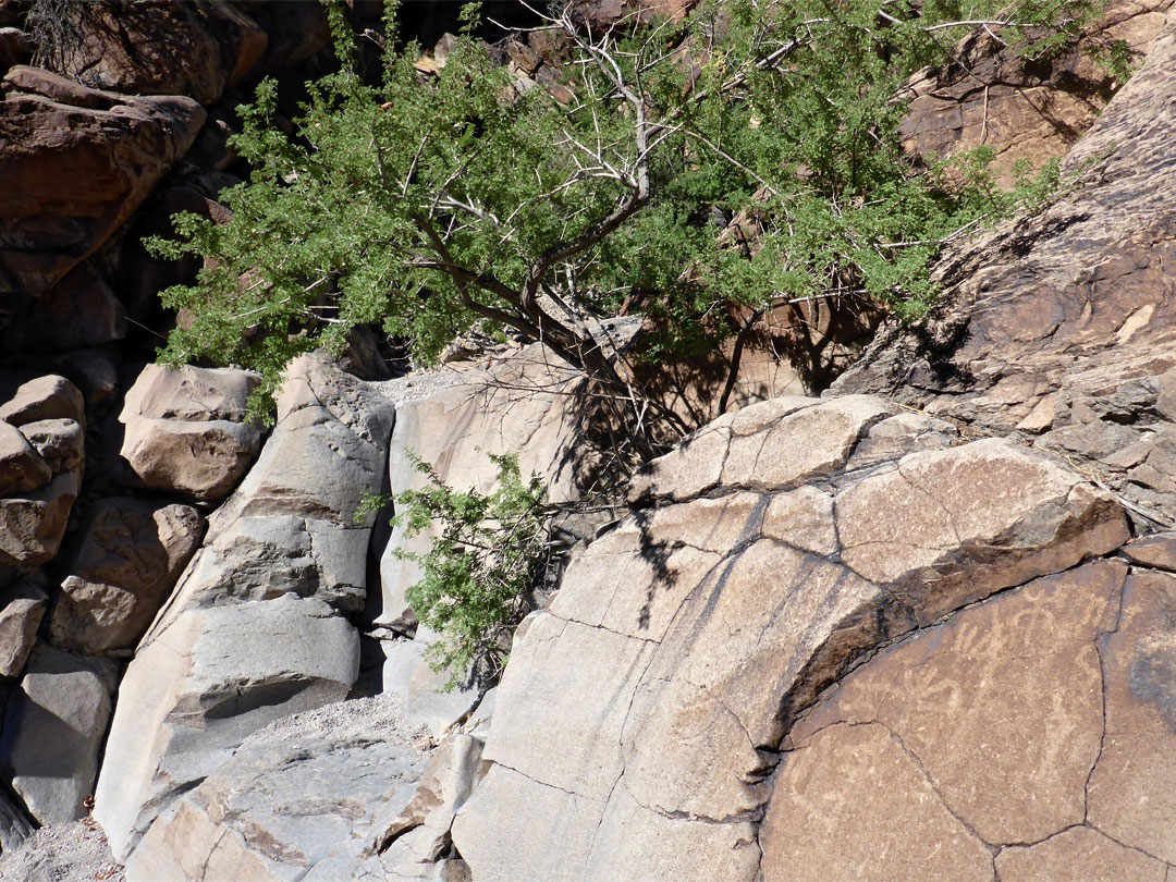 Petroglyphs and chute