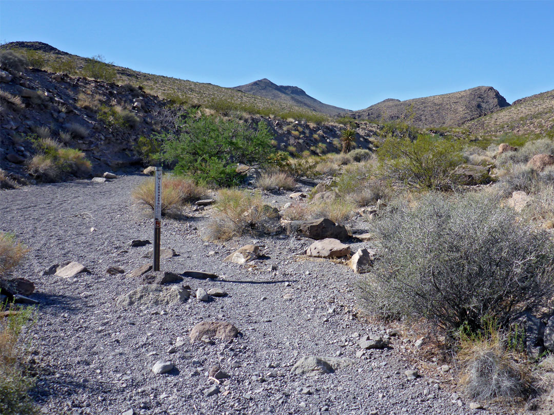 Wilderness marker