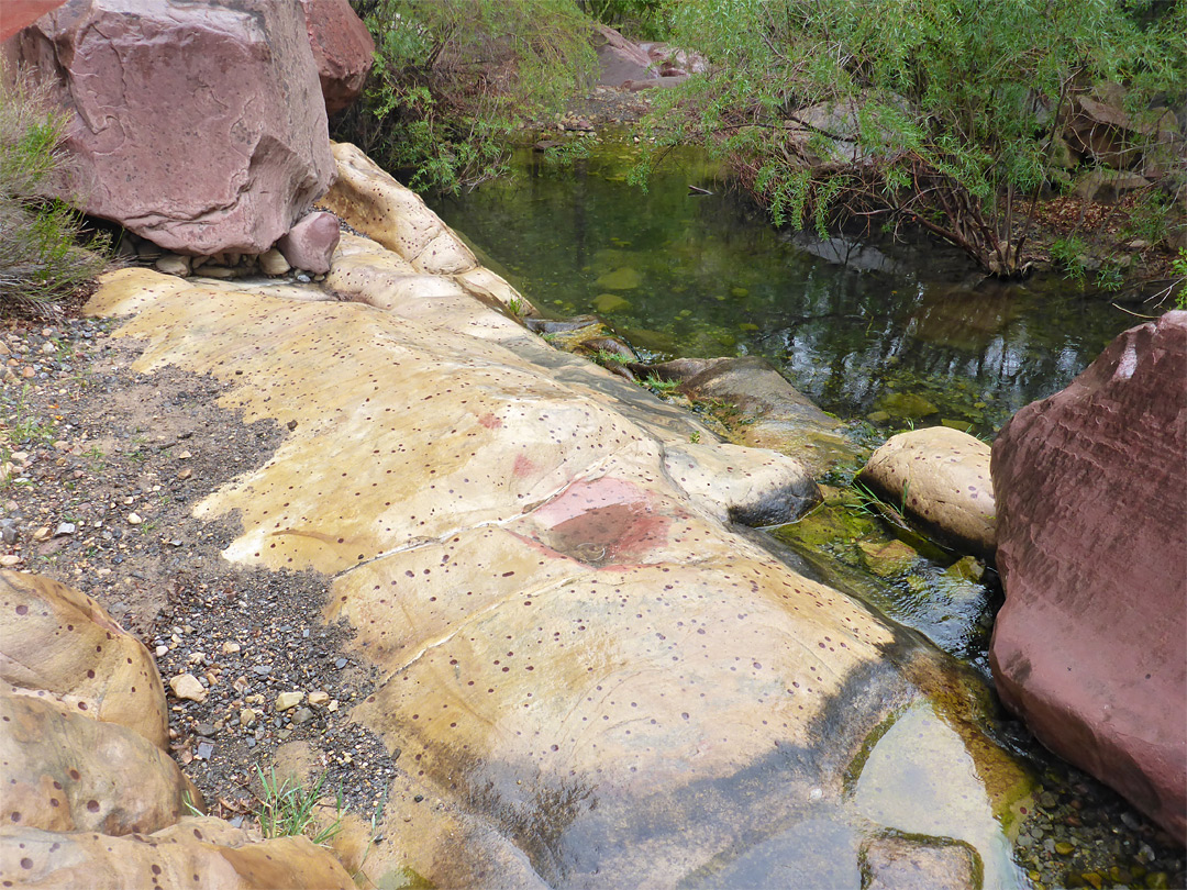 Mottled rock