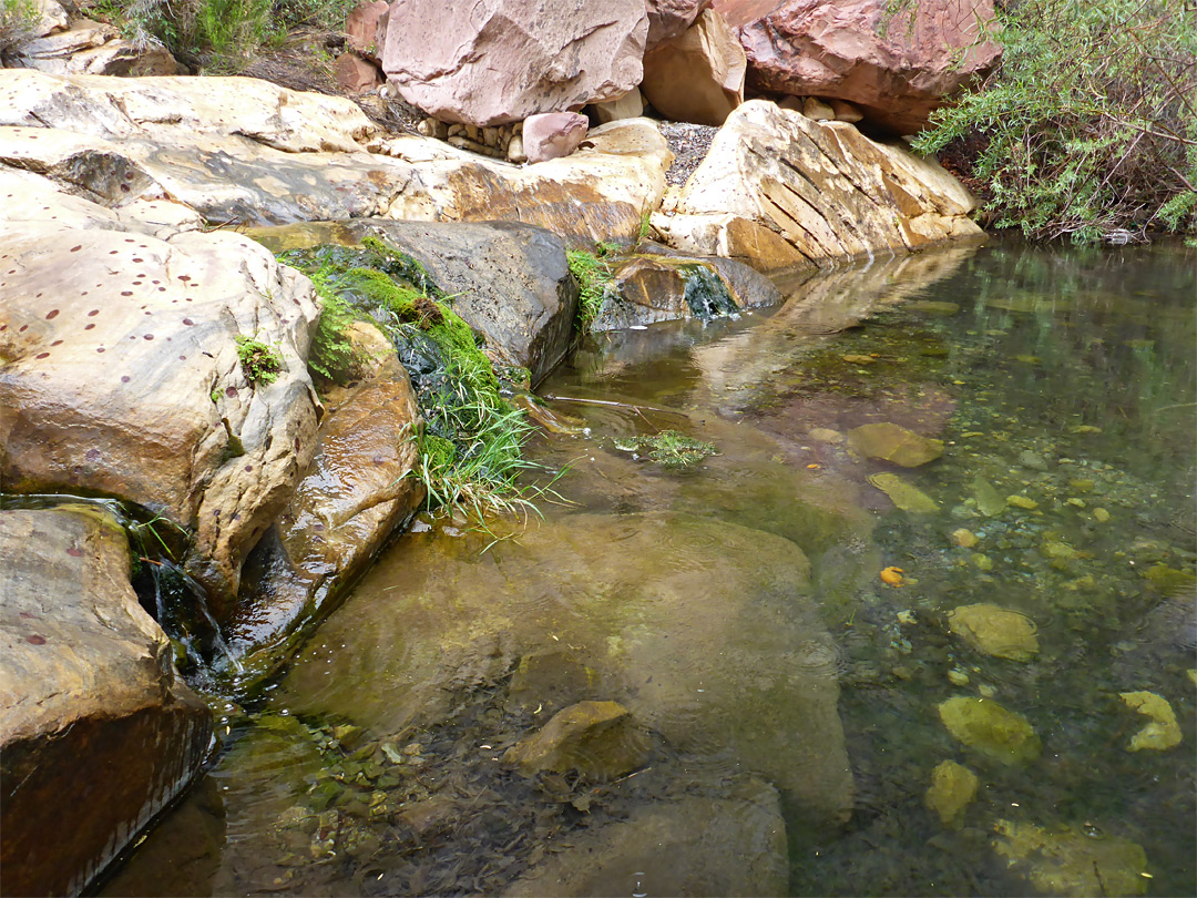 Rocks by a pool