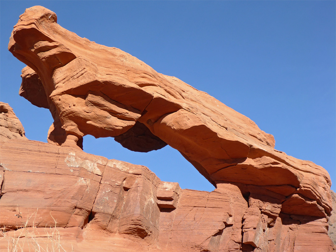 Elongated arch