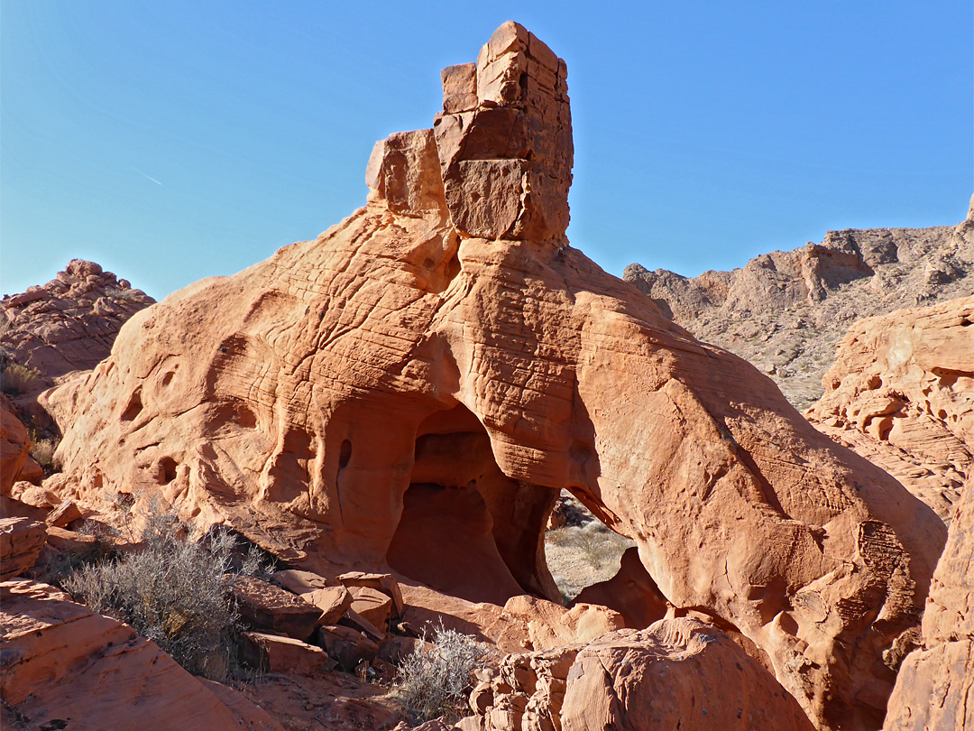 Elephant-like arch