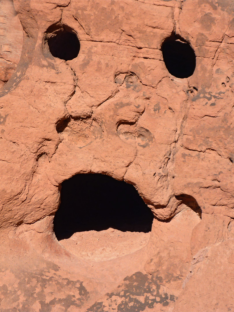 Face
