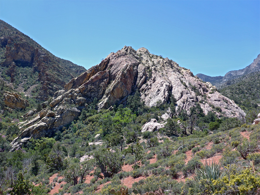 Aztec sandstone