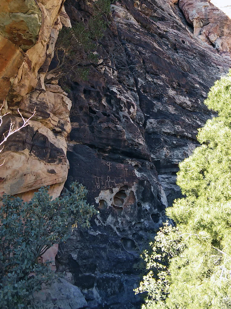 Petroglyph Wall