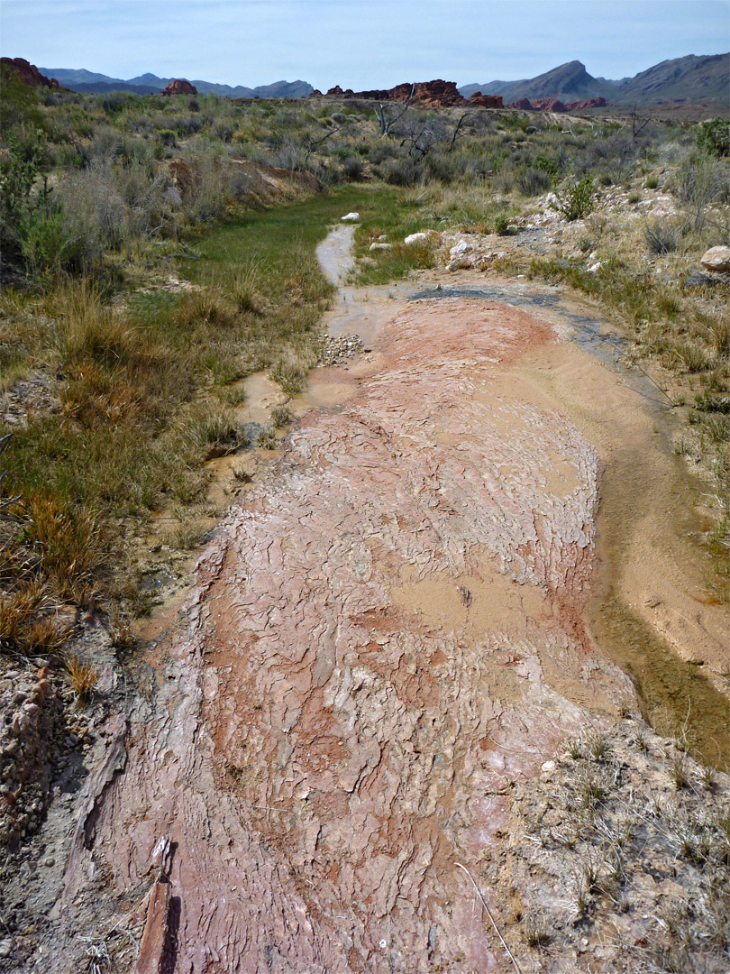 Red Rock Springs