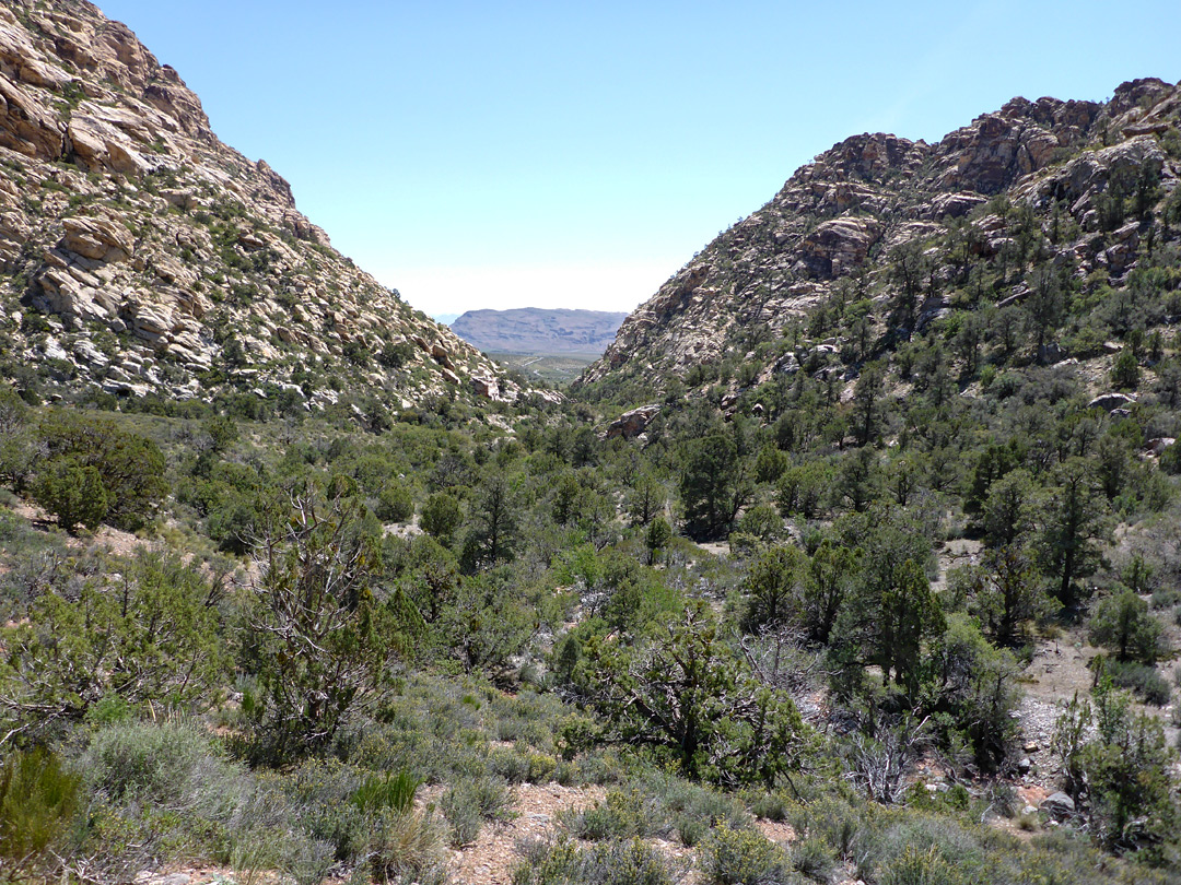 Red Rock Wash