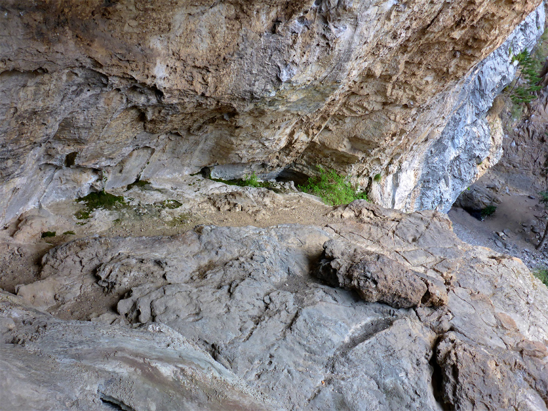 Above the streambed