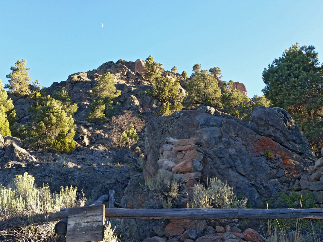 Bushes and rocks