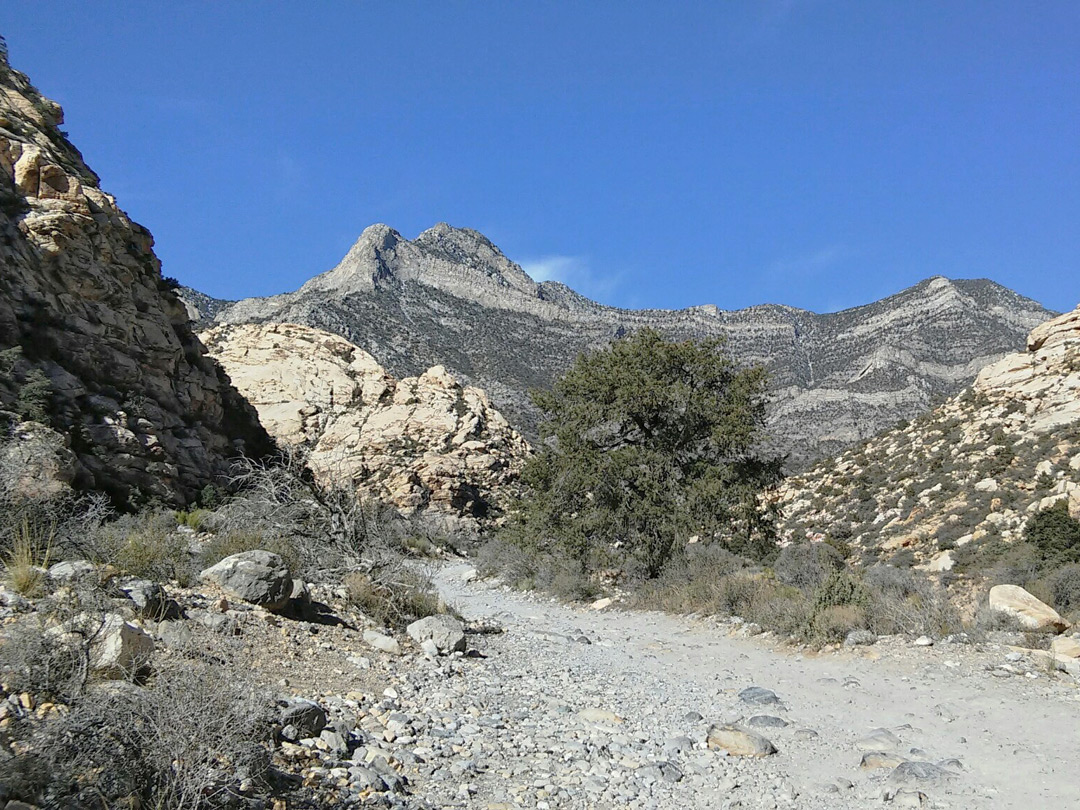 Rocky Gap Road