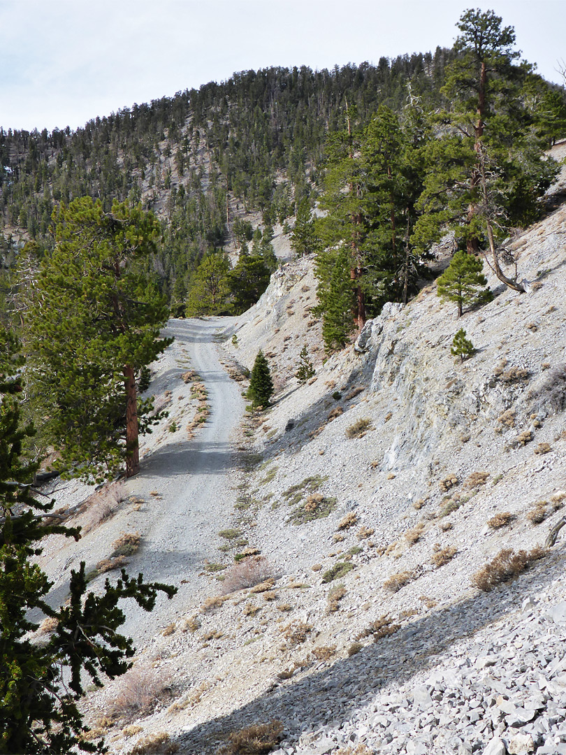 Scout Canyon Road