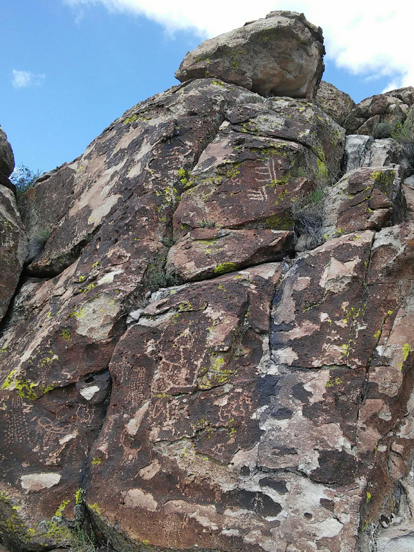 Petroglyphs and lichen