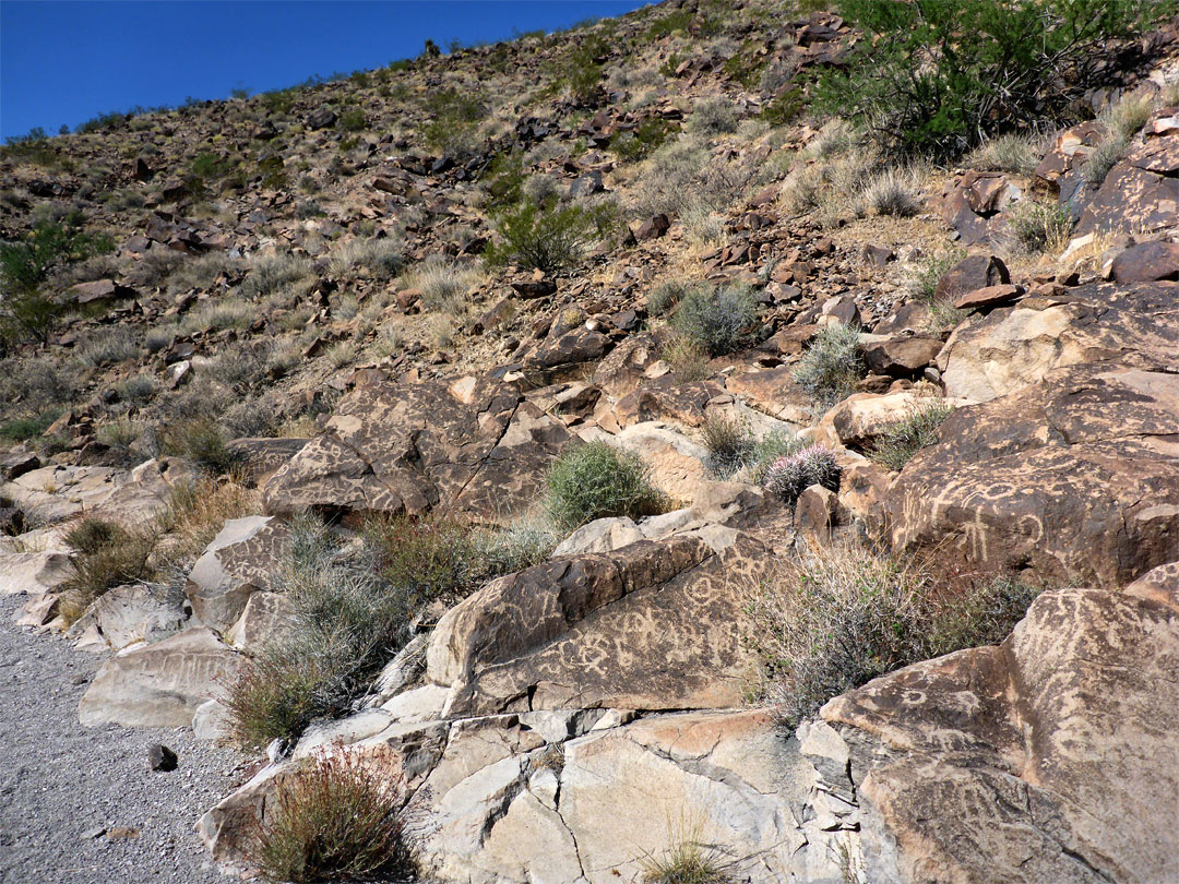 The main petroglyph area