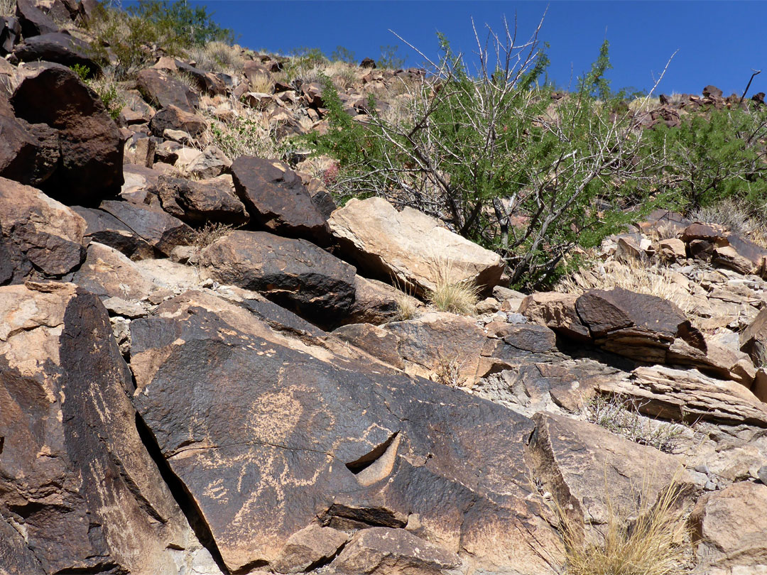 Petroglyphs beside the streambed