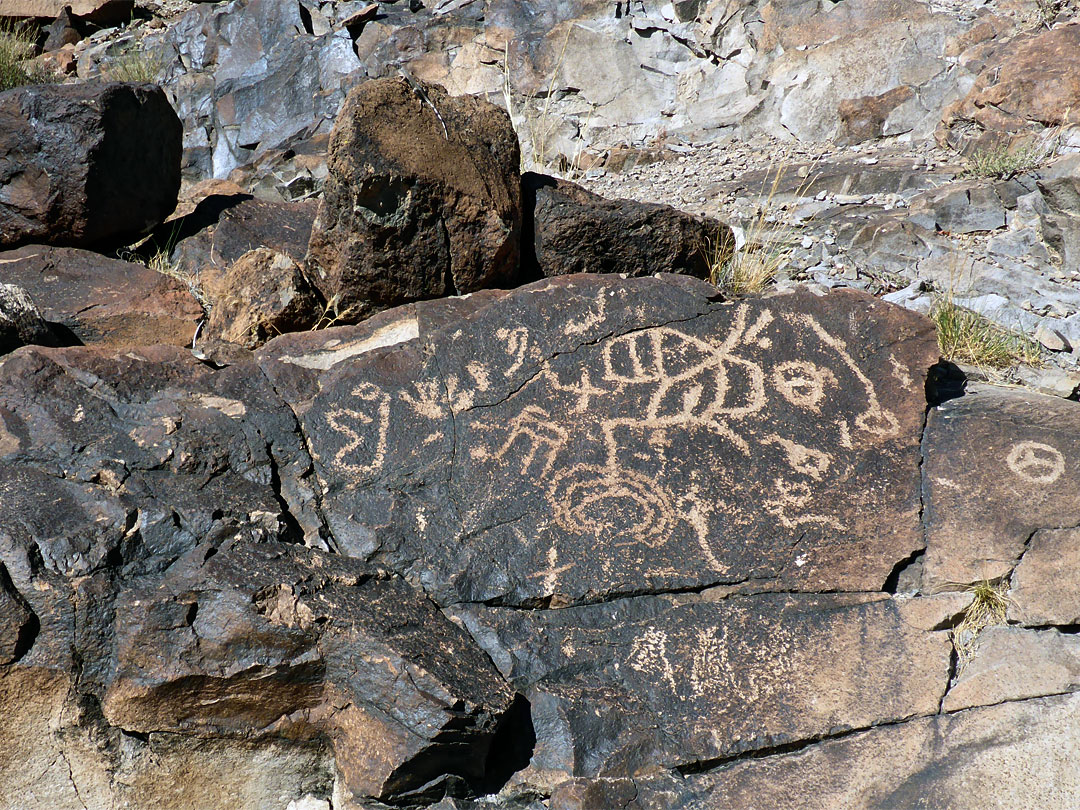 Petroglyphs on a dark boulder