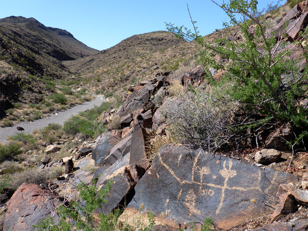 Bushes and boulders