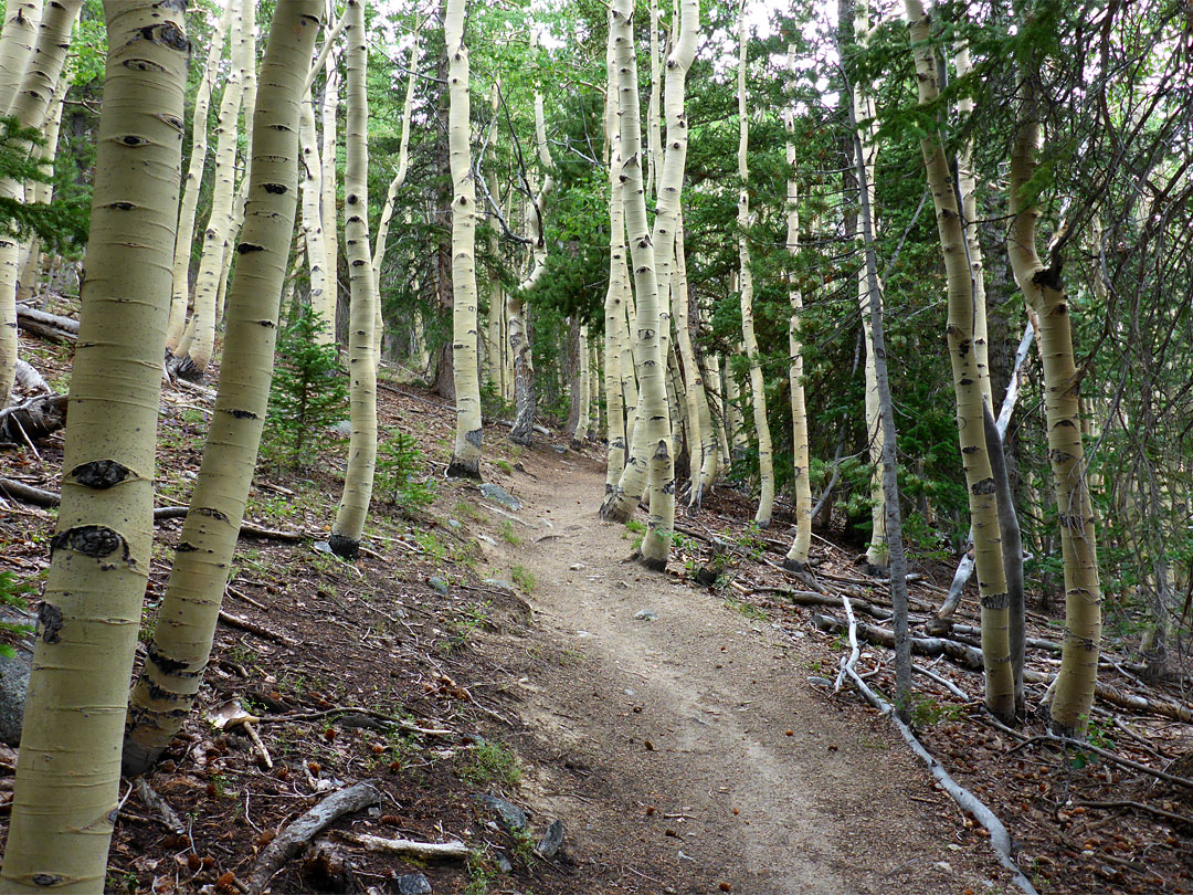 Ascending path