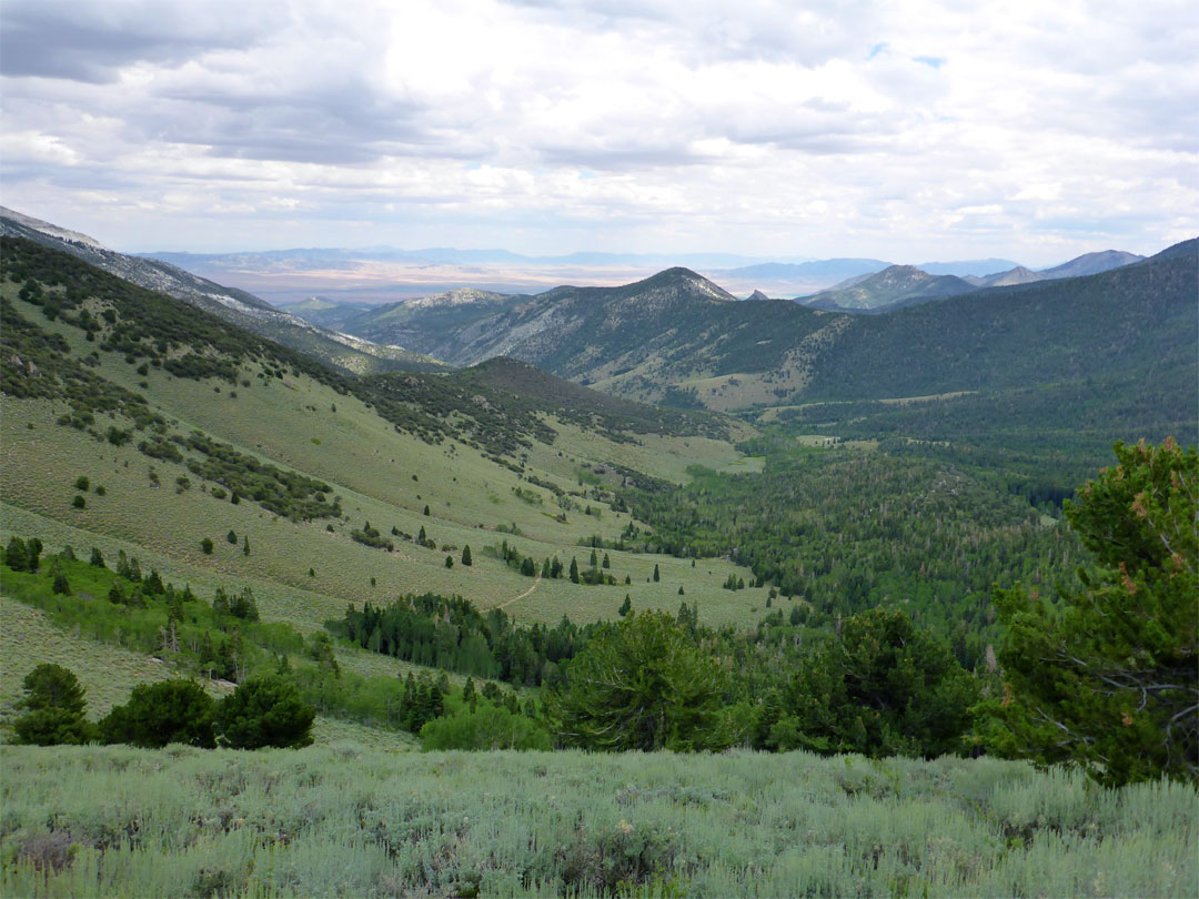 Snake Creek Valley